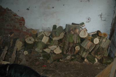 Acacia Firewood