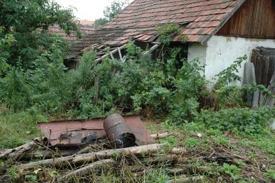 Scene Behind Garage