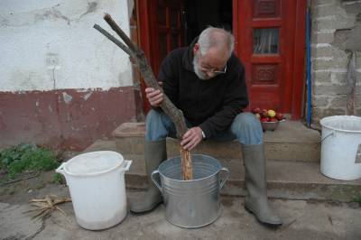 Cider Making