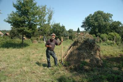 Compost Heap Regrows