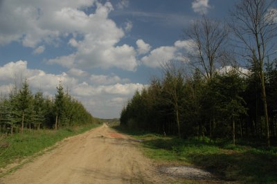 Field way drivable by car