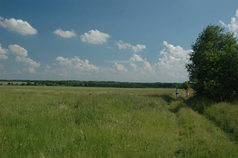 Figures in a Foreign Field