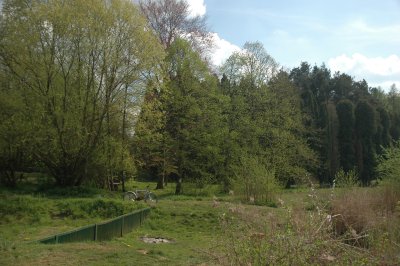 Start of the Őrség forest