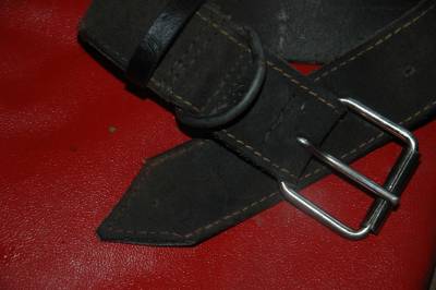 Goat Collar After Repair