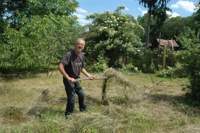 Hay Making