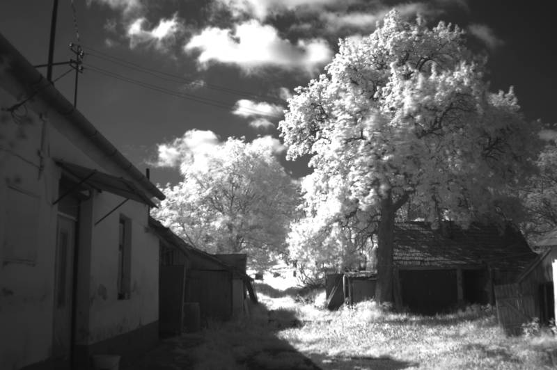Infra-red looking away from the house Infra-red looking away from the house