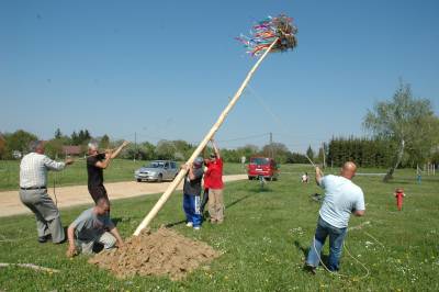 Up Goes The May Tree