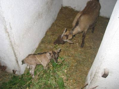 Newborn Kid and Mother