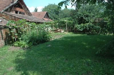 Outhouse Garden