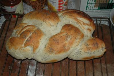 Poppy Seed Plait