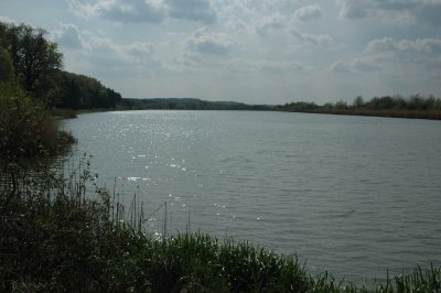 The reservoir