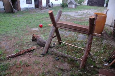 Rustic Log Sawing Bench