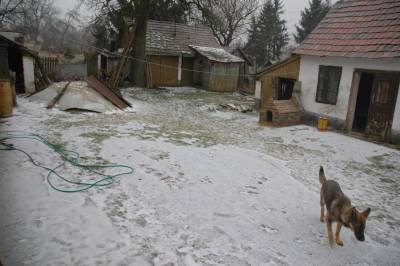 Snow in the Yard