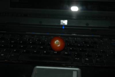 Tomato