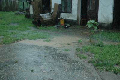 Flooded Yard