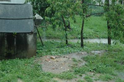 Flooded Yard