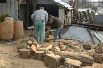 Chainsawing Acacia Logs